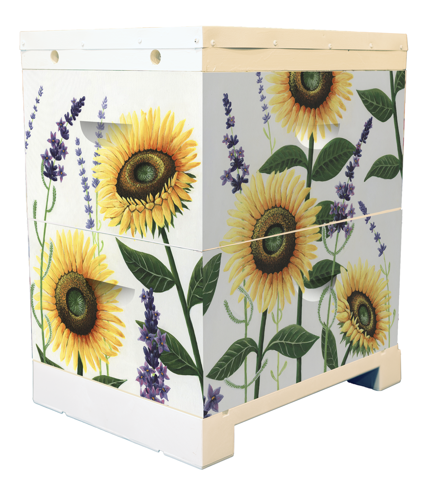 'Sunny Disposition' Bee Box Wrap