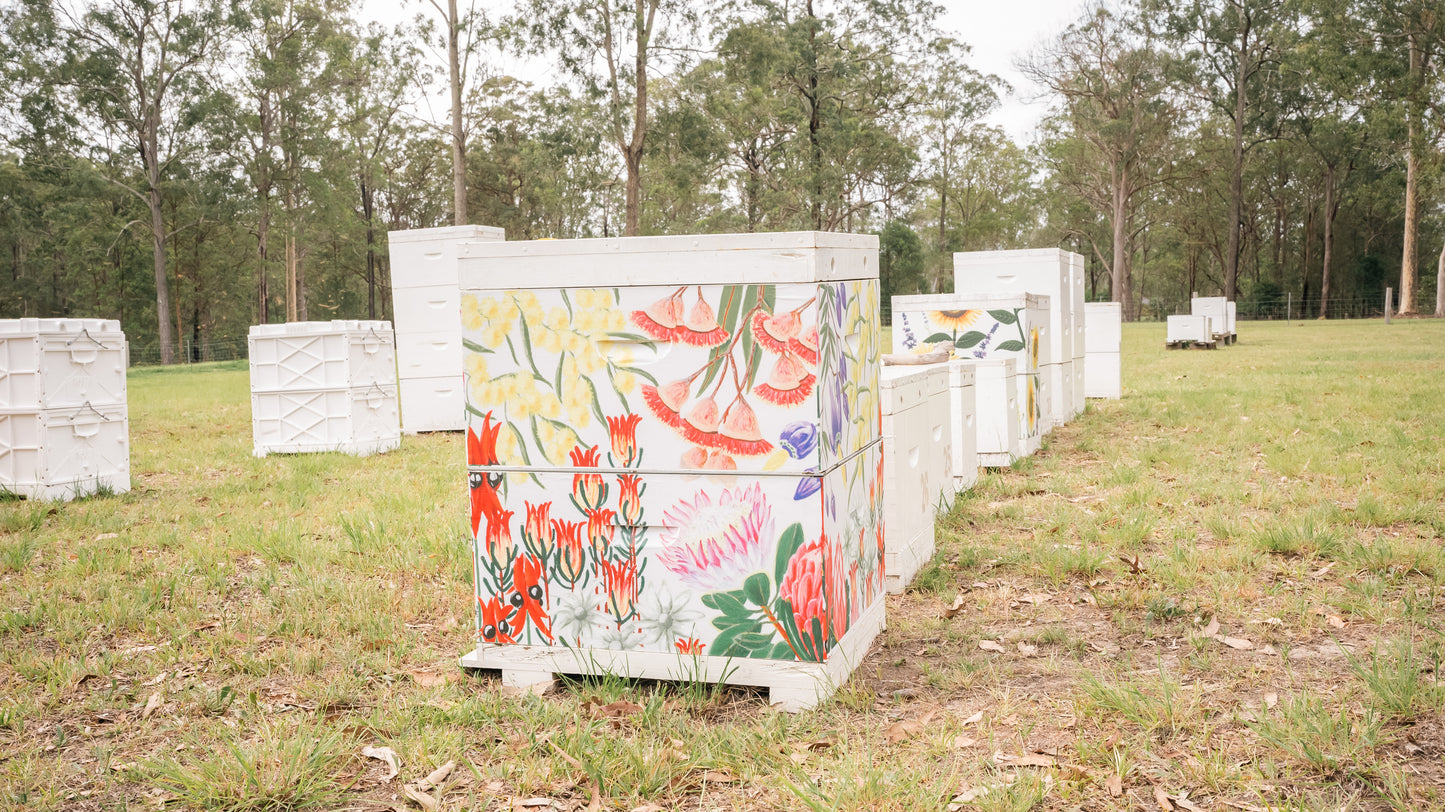 'Native Blooms' Bee Box Wrap